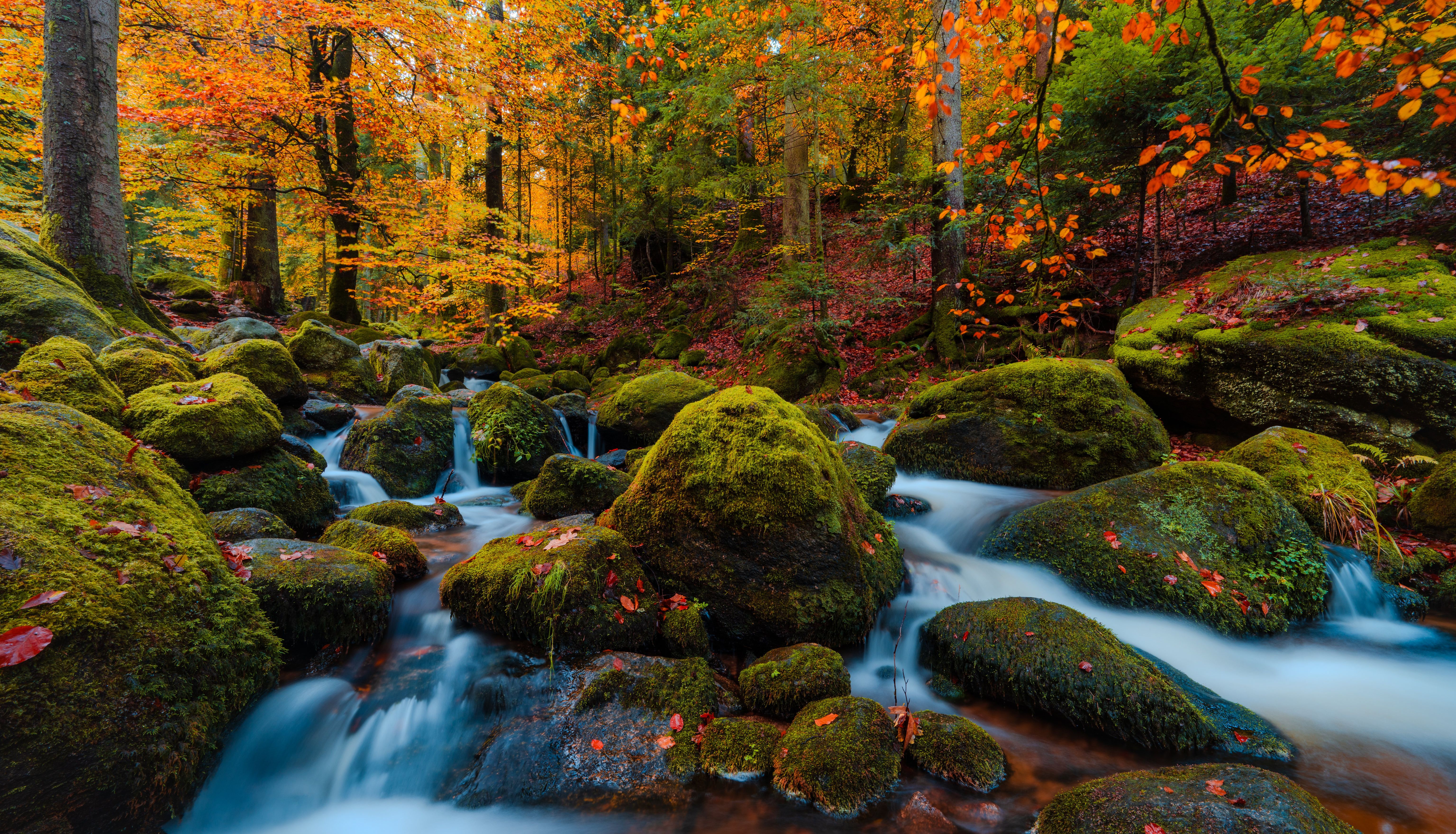 azure-tundra-rainfall-dy5a