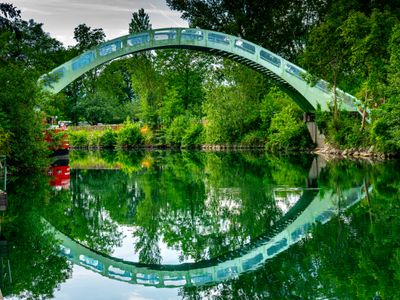 pearl-meadow-dawn-0oe1