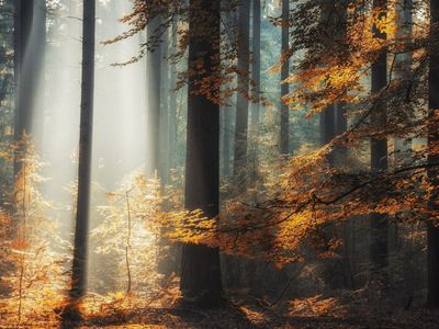 onyx-harbor-thunder-ddfe