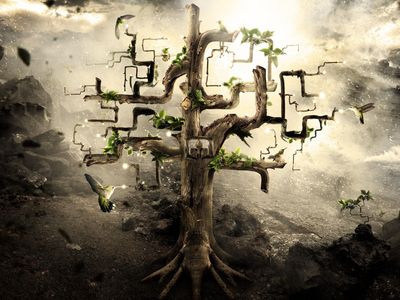 plum-garden-dusk-6ny7