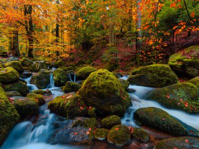 azure-tundra-rainfall-dy5a