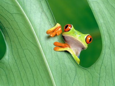 pearl-glacier-echo-f6j7