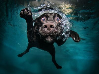 jade-prairie-dusk-c6r8