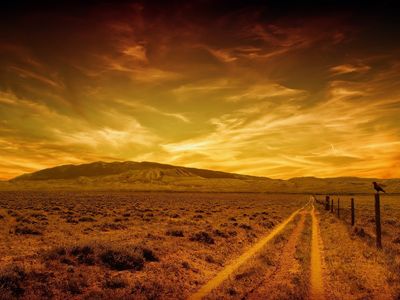 golden-ocean-dawn-48mv