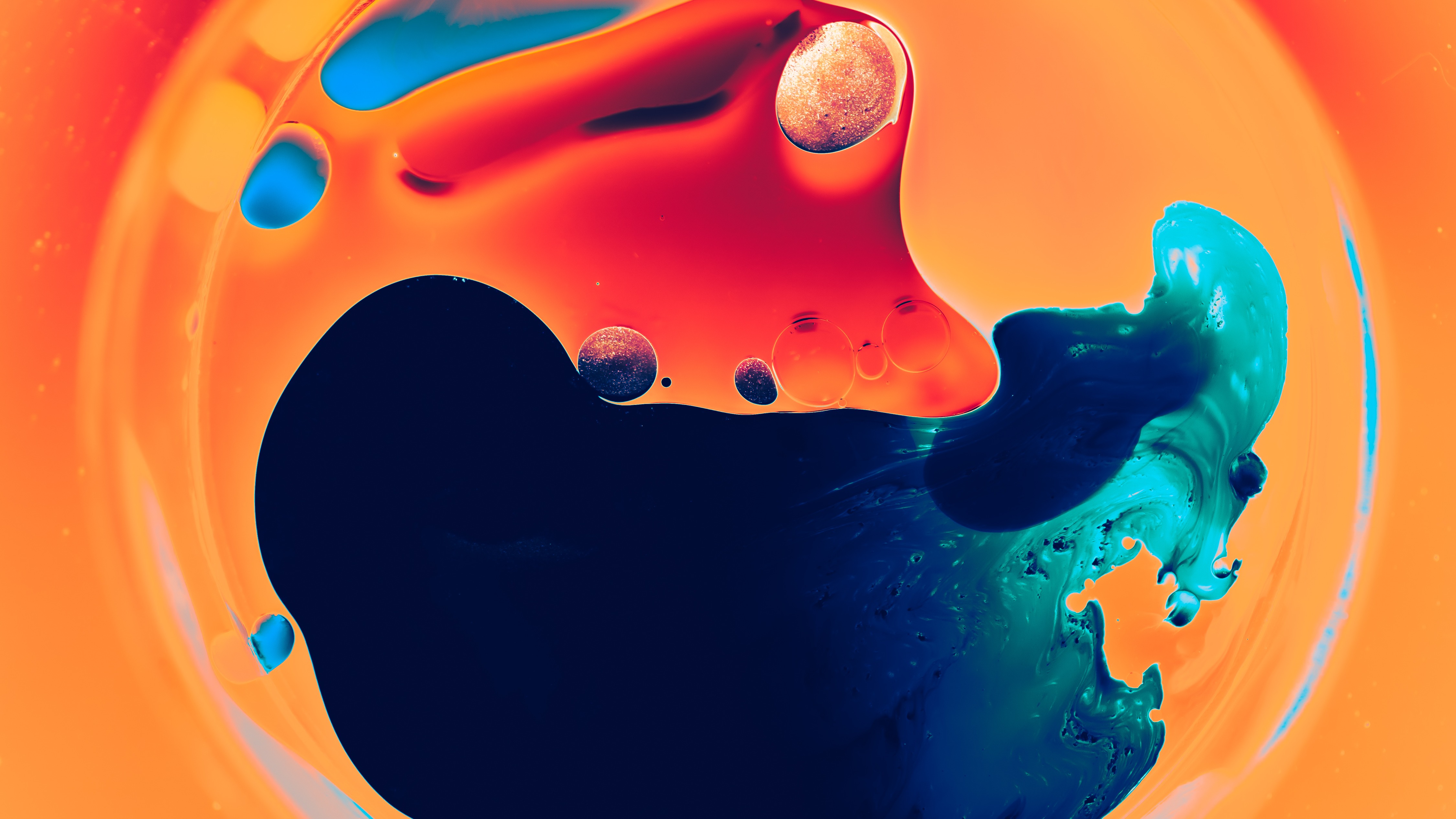 crimson-grove-echo-vlyo