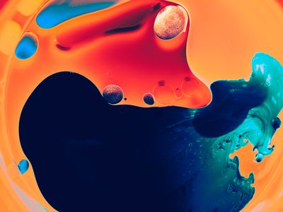 crimson-grove-echo-vlyo