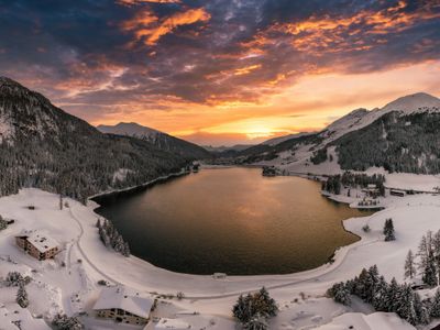 ochre-grove-eclipse-qlad