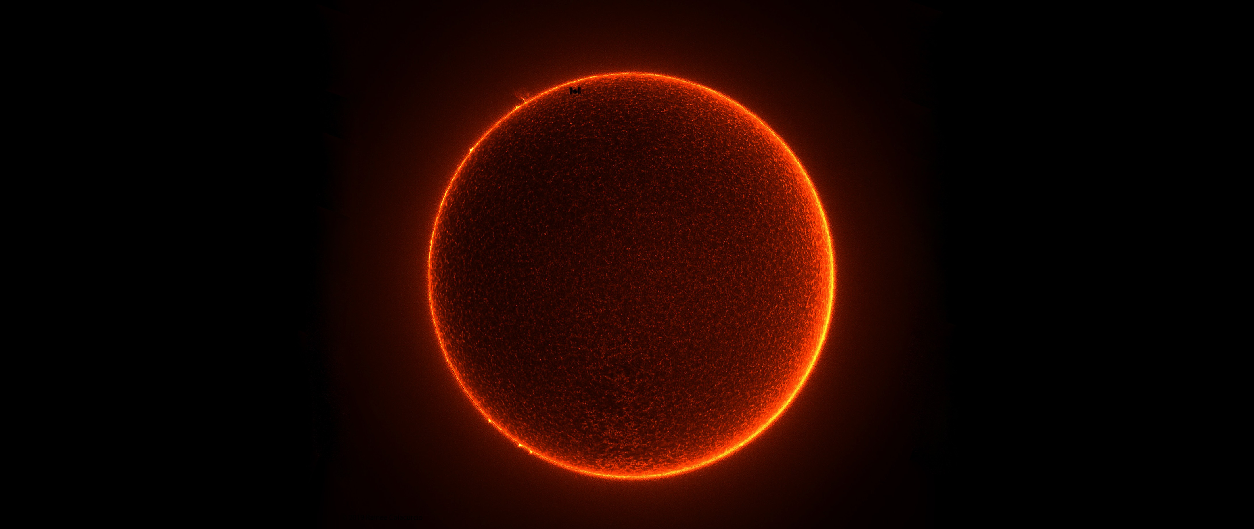 scarlet-harbor-frost-569n