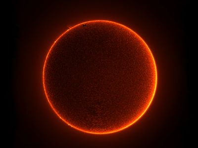 scarlet-harbor-frost-569n