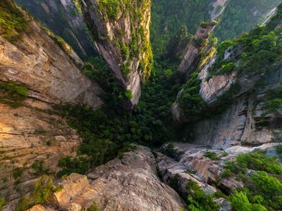 jade-delta-ember-cxal