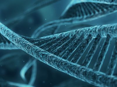 teal-lagoon-comet-efeu