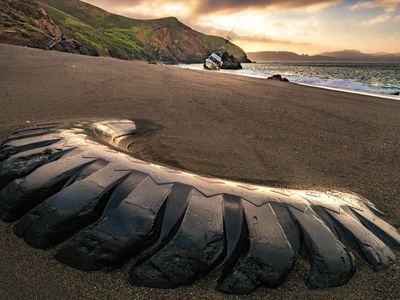 teal-meadow-thunder-5fej