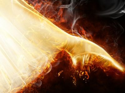 silver-prairie-ember-20ht