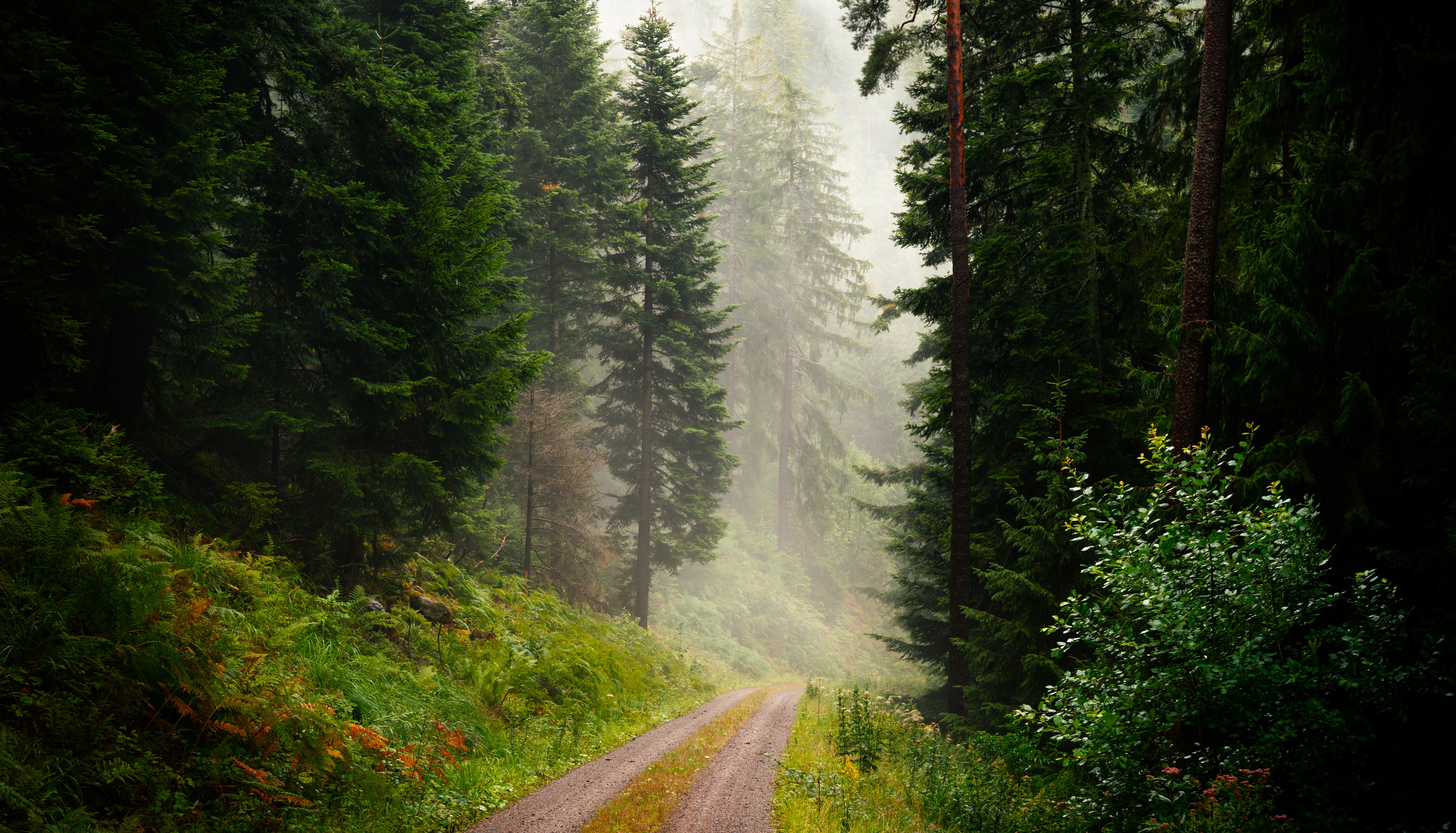 ochre-lagoon-whisper-necj