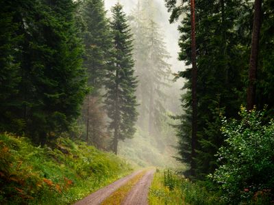 ochre-lagoon-whisper-necj