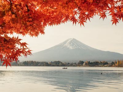 lilac-harbor-dusk-sidp