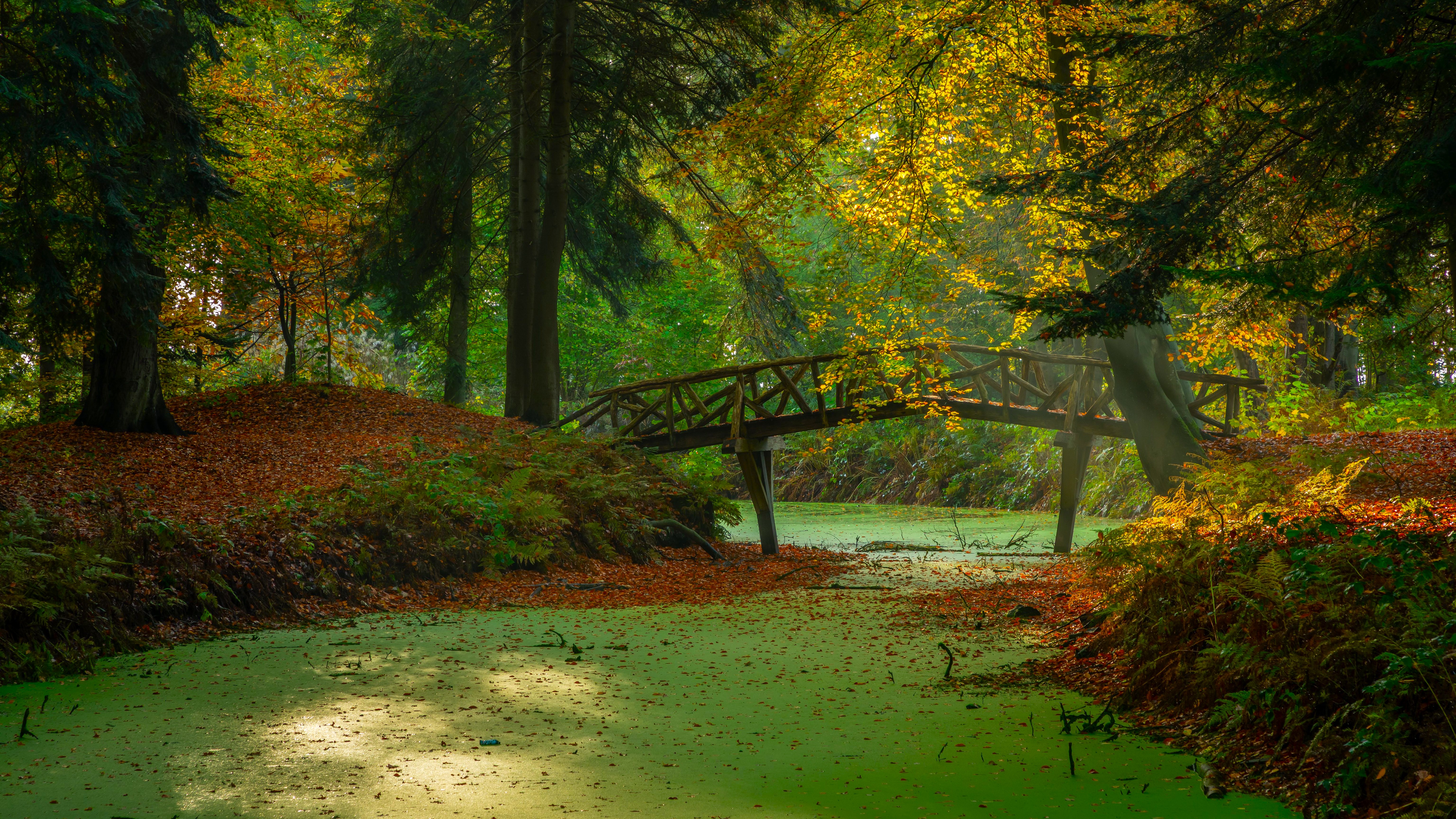 plum-garden-mist-o40d