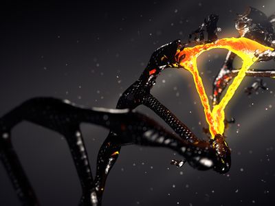 jade-grove-ripple-y78j